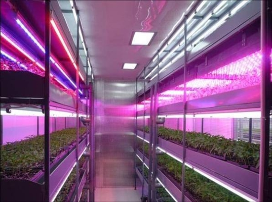 T8 방수 LED 식물은 빛을 성장합니다, LED는 실내 식물과 작물을 위한 빛을 성장합니다